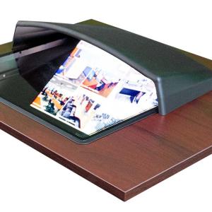 Privacy/Glare Visor